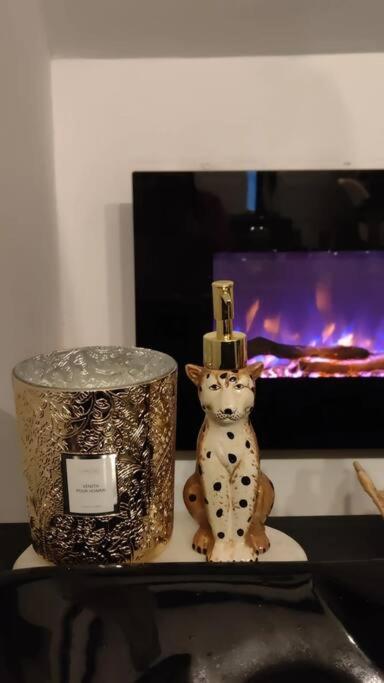 Logement Romantique Et Cosy شارلروا المظهر الخارجي الصورة