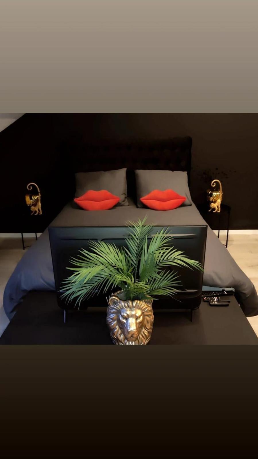 Logement Romantique Et Cosy شارلروا المظهر الخارجي الصورة